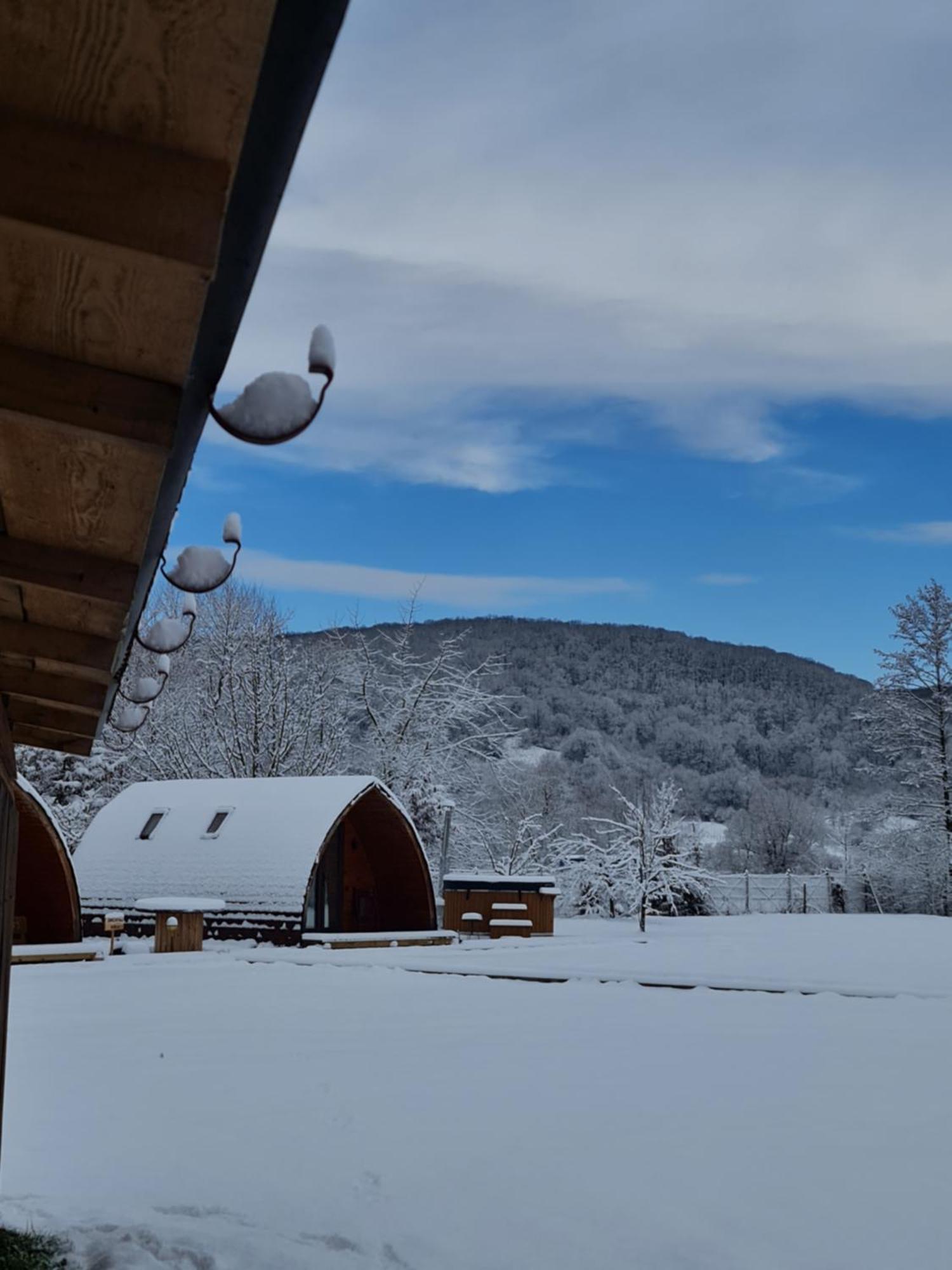 Casute In Mijlocul Naturii - Wild Camp Avrig Exterior foto
