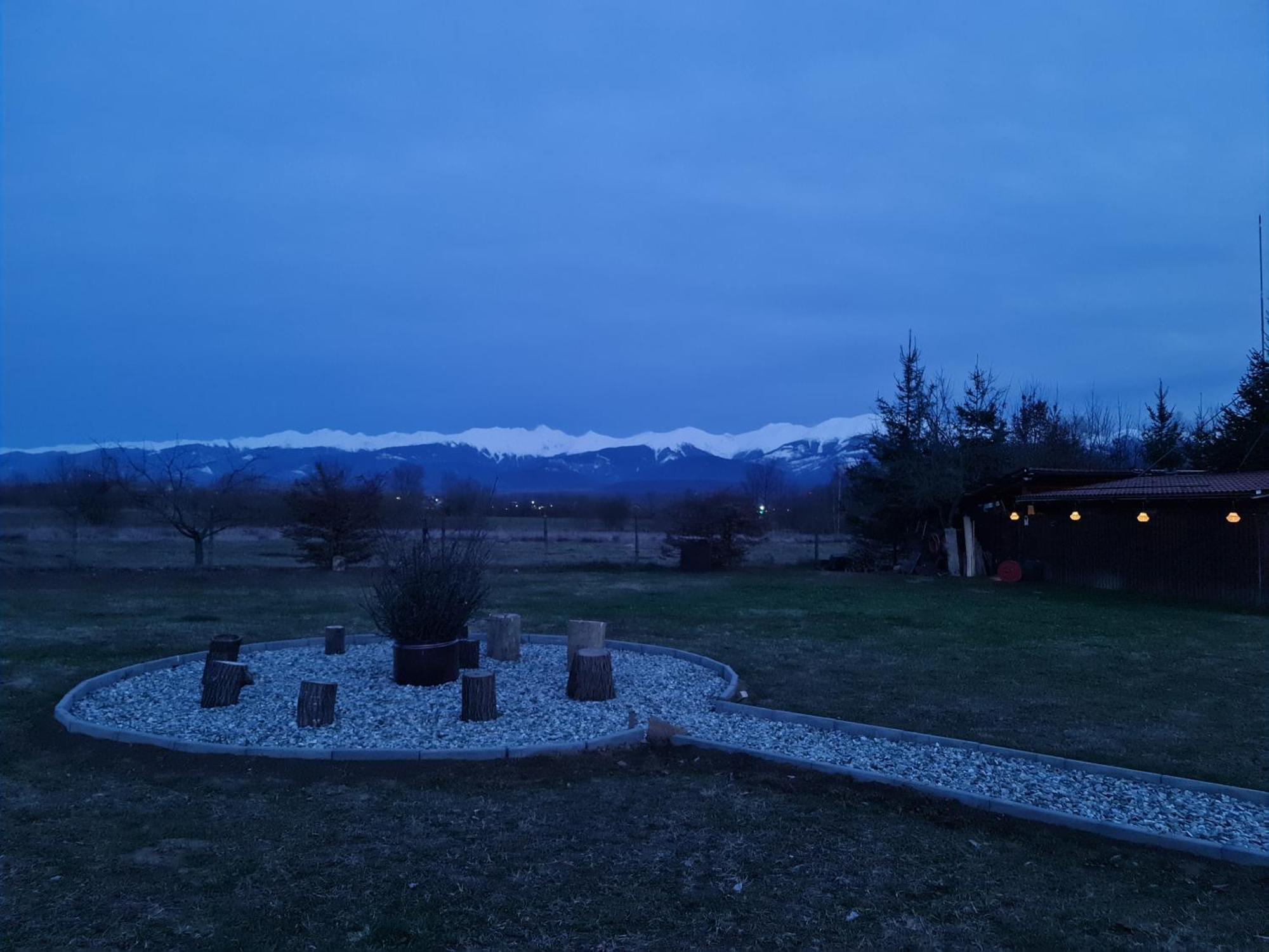 Casute In Mijlocul Naturii - Wild Camp Avrig Exterior foto