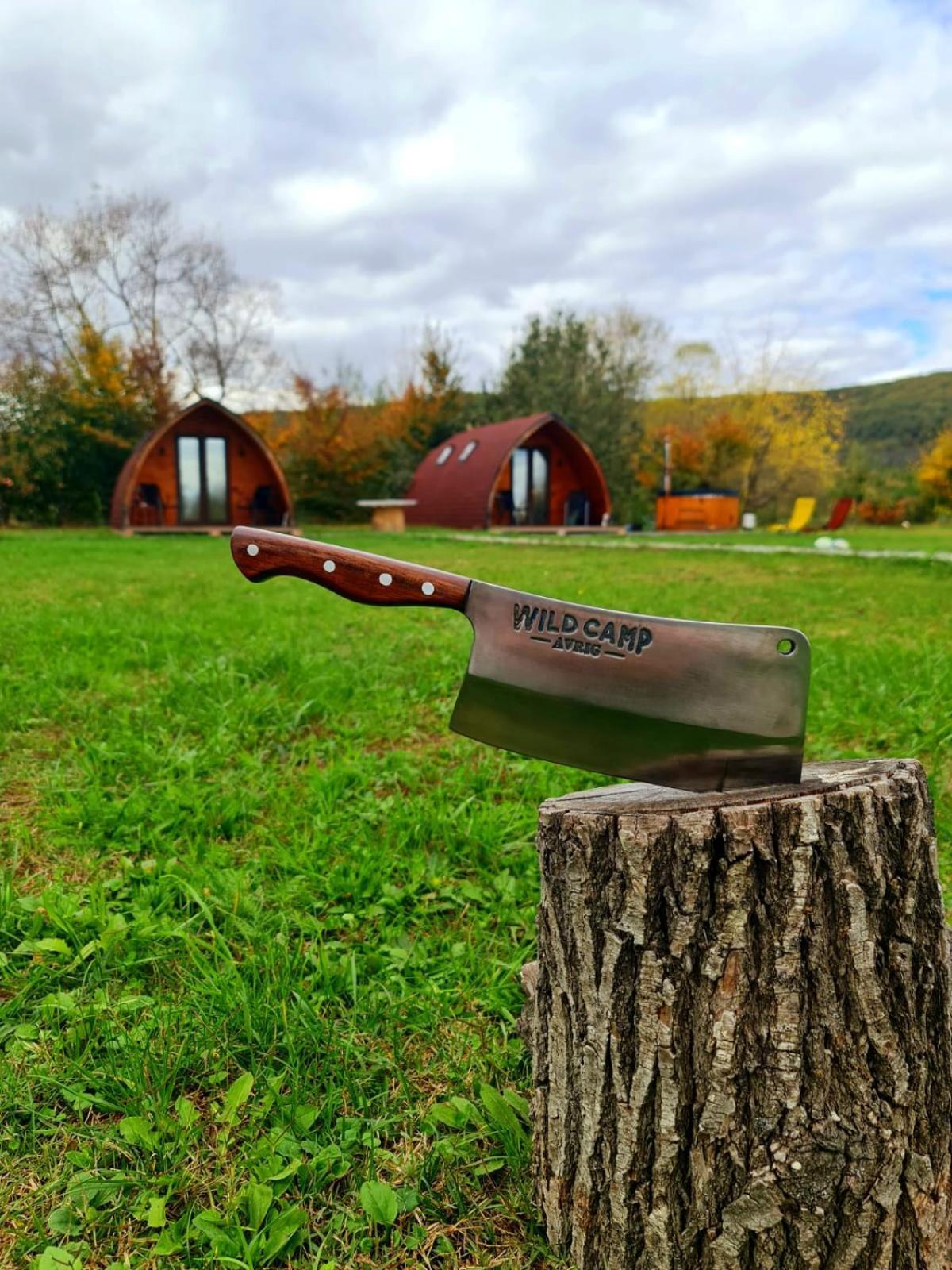 Casute In Mijlocul Naturii - Wild Camp Avrig Exterior foto