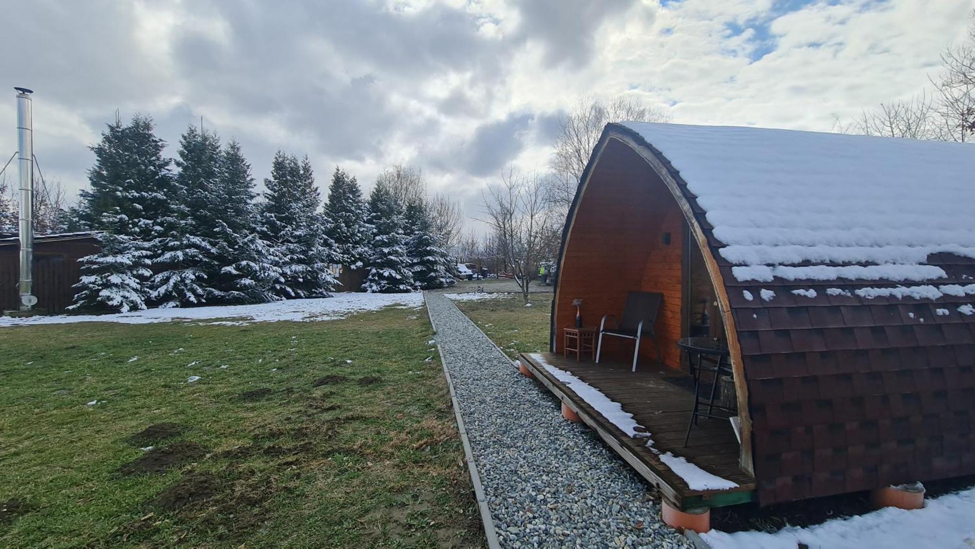 Casute In Mijlocul Naturii - Wild Camp Avrig Exterior foto